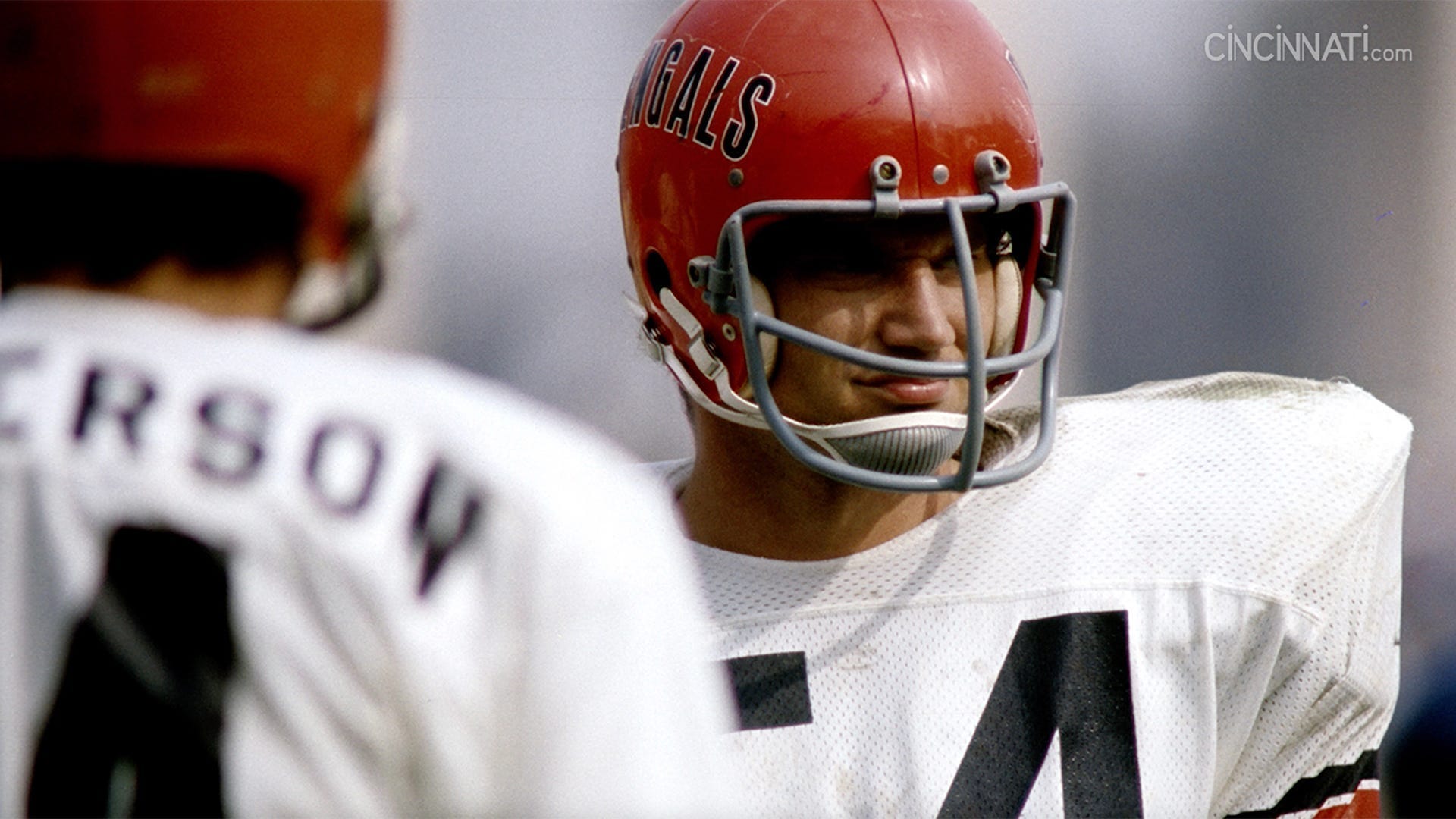Bob Trumpy played 10 NFL seasons, all with the Cincinnati Bengals, catching 298 passes for 4,600 yards and 35 touchdowns.