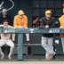 Tennessee Vols baseball