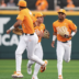 Tennessee Vols baseball