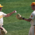 Tennessee Vols baseball
