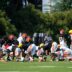 Cincinnati Bengals training camp