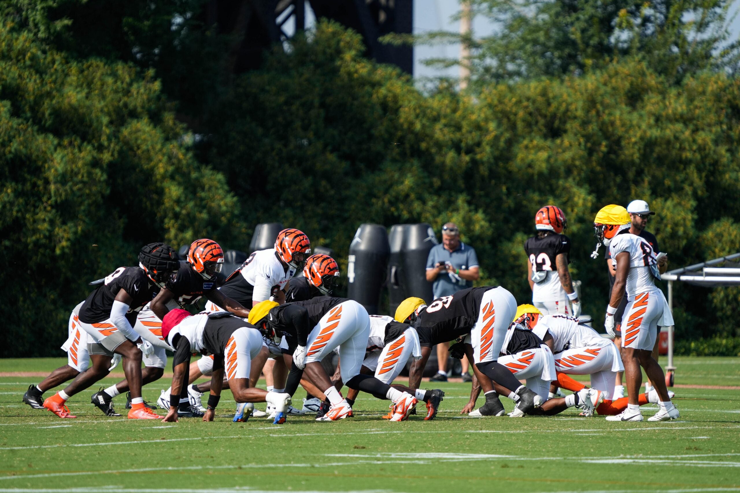 Cincinnati Bengals training camp