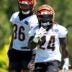 Cincinnati Bengals rookie running back Jamal Haynes