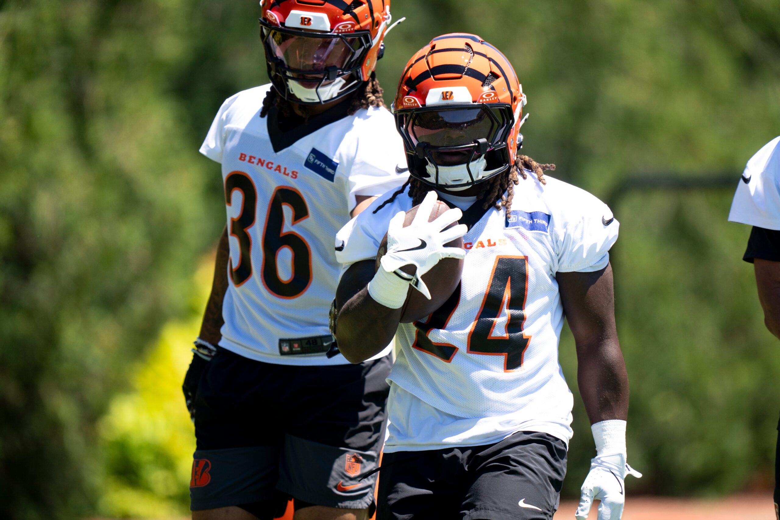 Cincinnati Bengals rookie running back Jamal Haynes