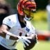 Cincinnati Bengals wide receiver Ja'Marr Chase