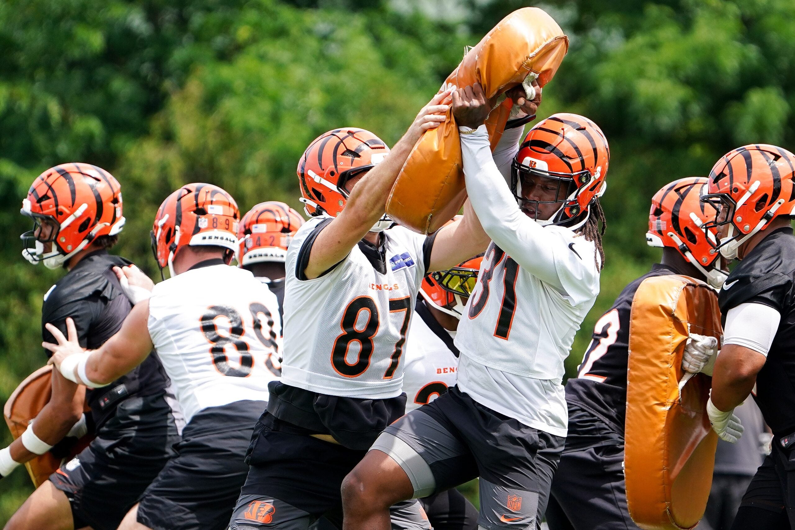 Cincinnati Bengals mandatory minicamp