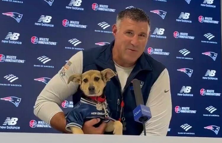 Mike Vrabel Dianna Russini A.J. Brown New England Patriots Tennessee Titans