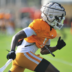 Tennessee Vols football