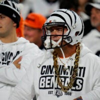 bengals fans