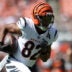 Cincinnati Bengals wide receiver Mitchell Tinsley