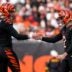 Cincinnati Bengals place kicker Evan McPherson punter Ryan Rehkow