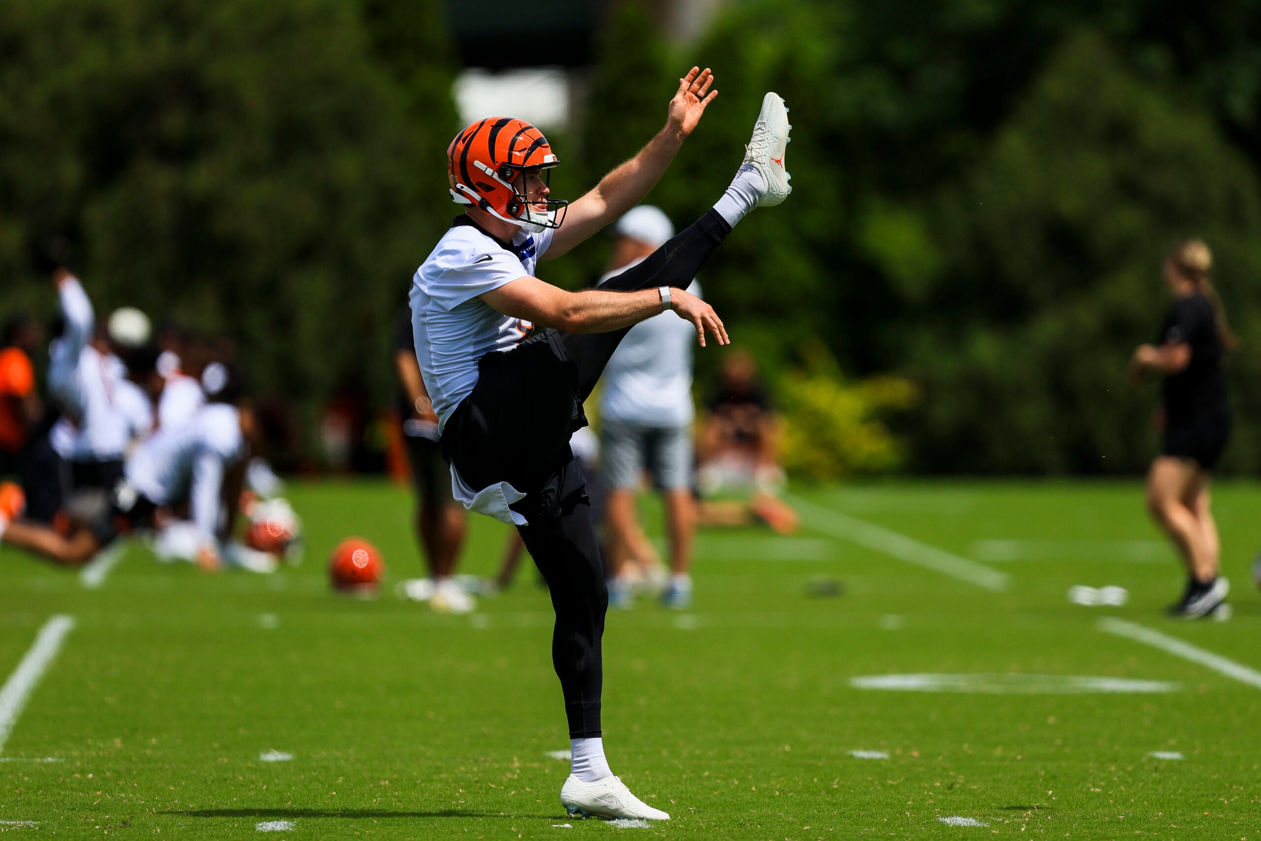 Cincinnati Bengals punter Ryan Rehkow