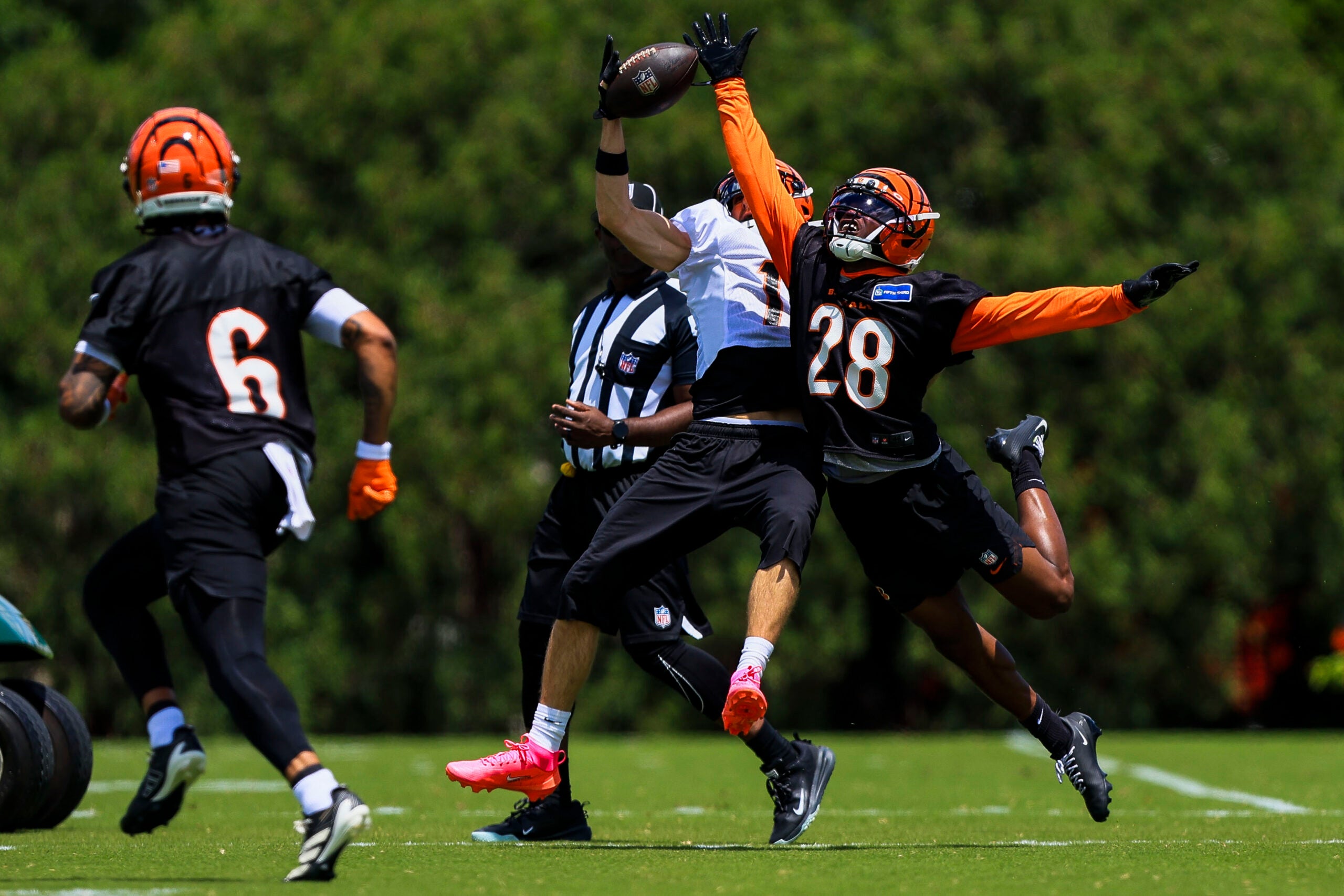 cornerback Josh Newton