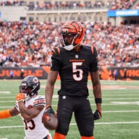 Tee Higgins