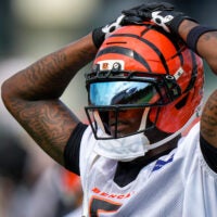Tee Higgins