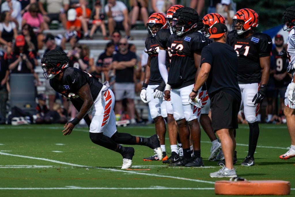Bengals defensive line