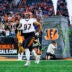 Dexter Lawrence
