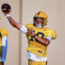 LSU Tigers