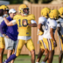 LSU Tigers
