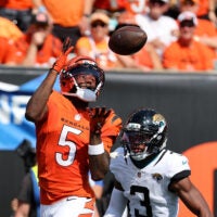 Tee Higgins