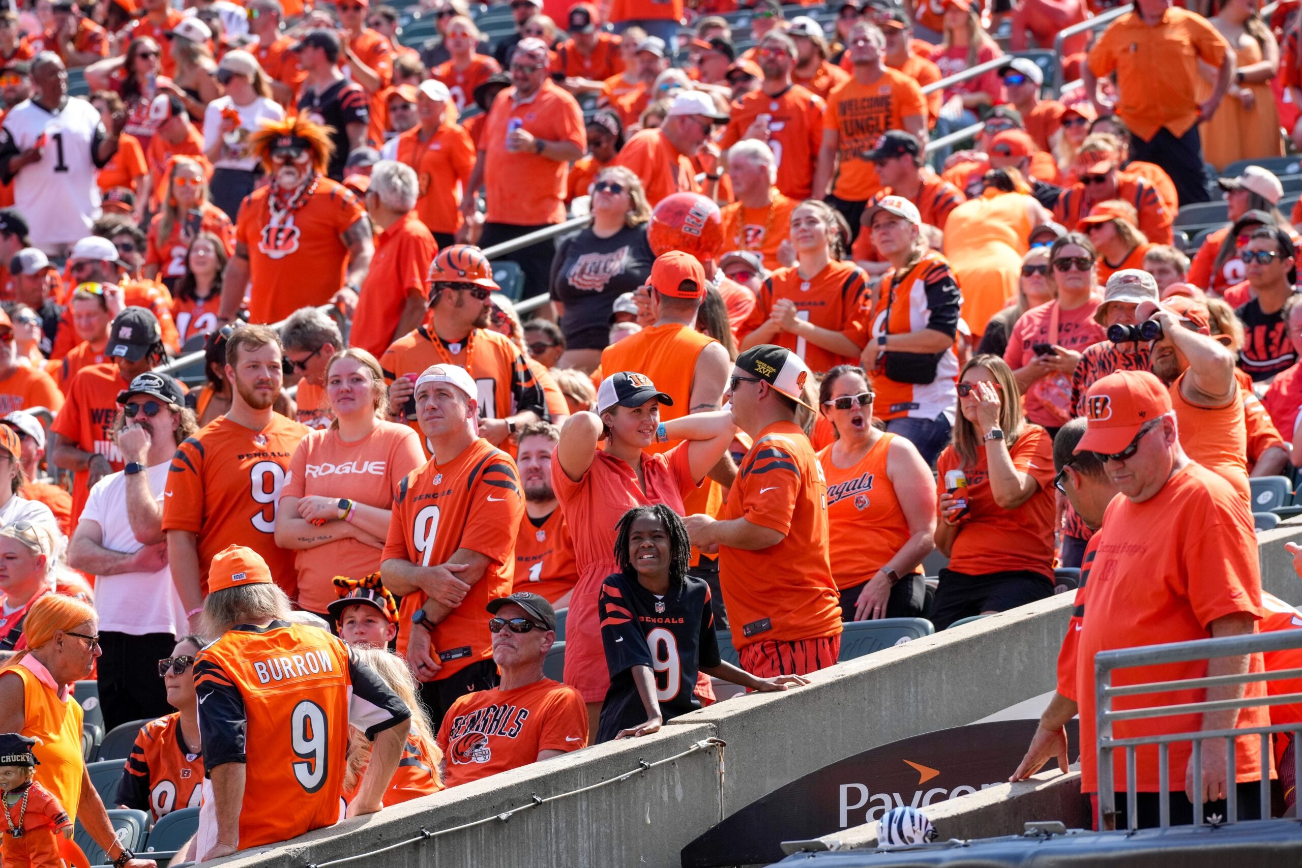 Bengals fans