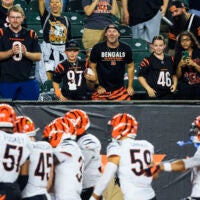 Bengals fans