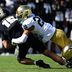 Sep 26, 2026; West Lafayette, Indiana, USA; Purdue Boilermakers quarterback Ryan Browne (15) is sacked by Notre Dame Fighting Irish safety Joey O'Brien (20) in the second quarter at Ross-Ade Stadium.