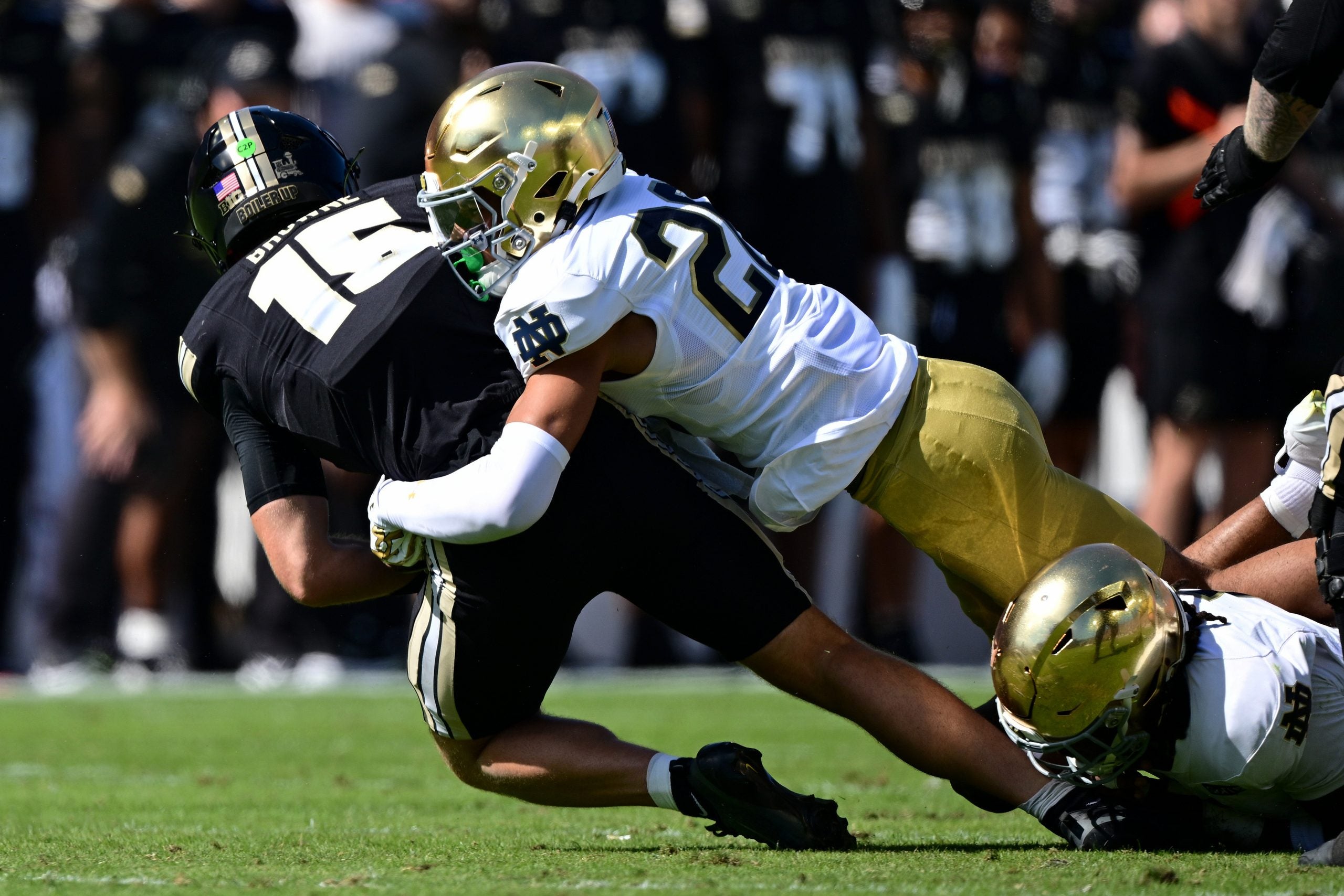 Sep 26, 2026; West Lafayette, Indiana, USA; Purdue Boilermakers quarterback Ryan Browne (15) is sacked by Notre Dame Fighting Irish safety Joey O'Brien (20) in the second quarter at Ross-Ade Stadium.