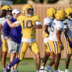 LSU Tigers
