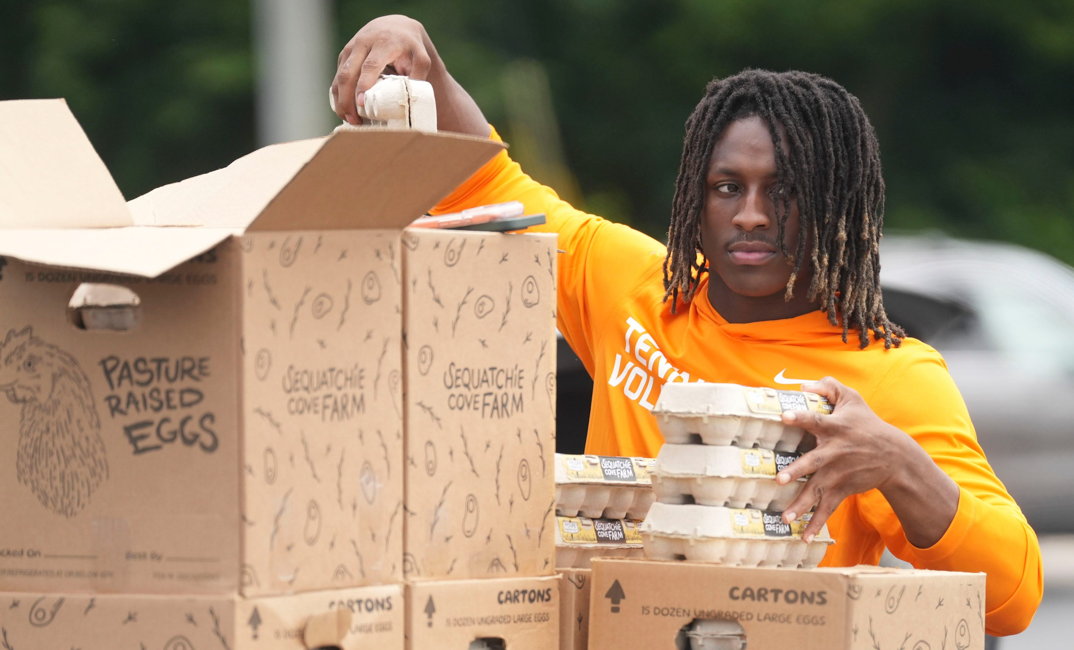 Tennessee Vols football