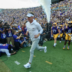 LSU Tigers