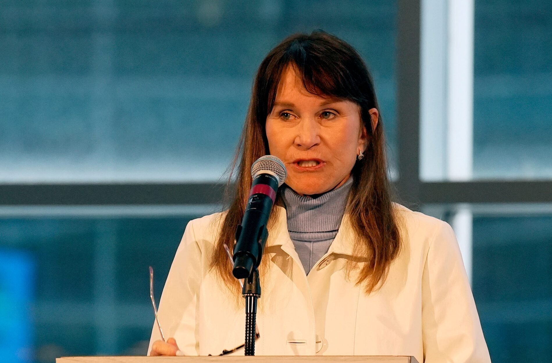 Tennessee Titans owner Amy Adams Strunk fan survey Burke Nihill