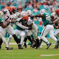 Bengals Dolphins