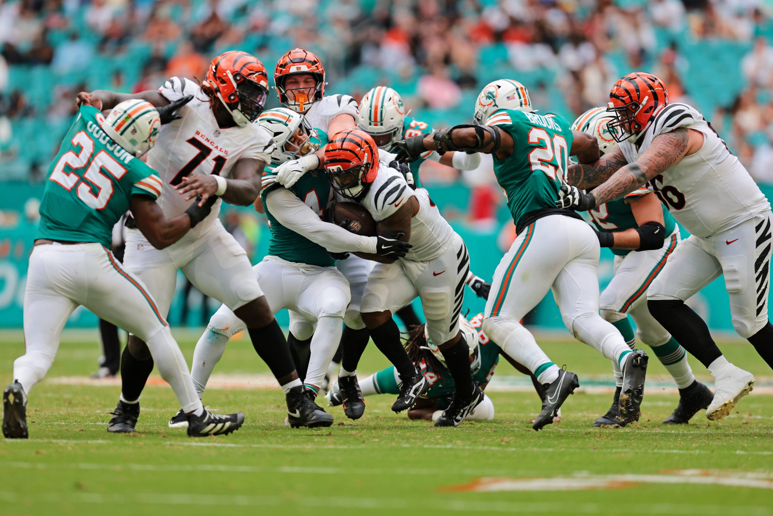 Bengals Dolphins