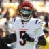 Tee Higgins